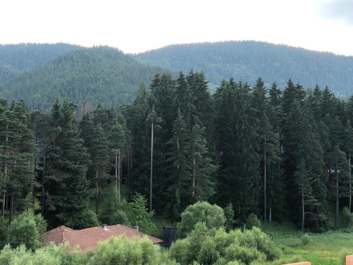 Family Hotel Panorama Sŭrnitsa Exteriör bild